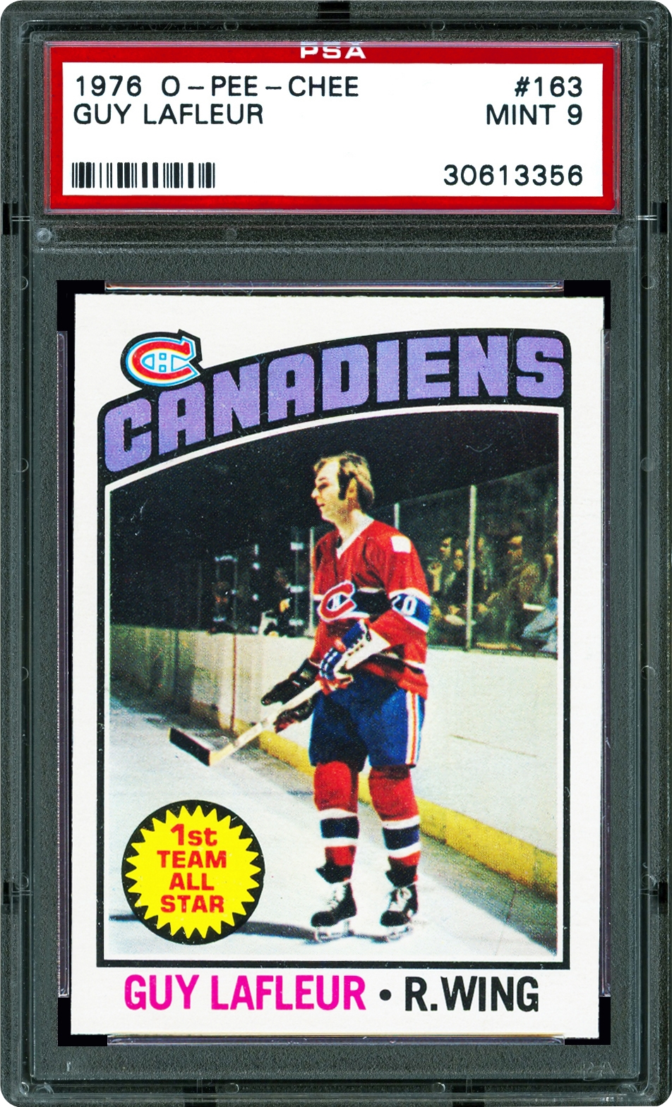 essay on guy lafleur by ken dryden essay on guy lafleur by ken dryden