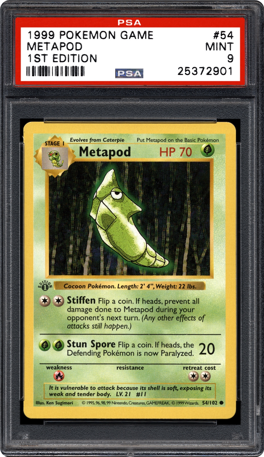 premium bandai metapod