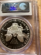 2006-W $1 Silver Eagle PR70DCAM