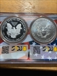2019 $1 Silver Eagle First Day of Issue Picture Frame Flag Multiholder MS69