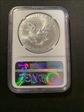 2017 1.00 Silver Eagle MS 70