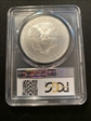 2010 $1 Silver Eagle MS69