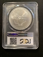 2008 $1 Silver Eagle MS69
