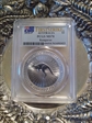 2018-P $1 Kangaroo Ag First Strike MS70