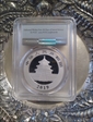 2019 10 Yn Panda Silver First Strike MS70
