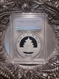 2021 10 Yn Panda Silver First Strike MS70