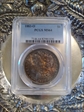 1883-O $1 MS64