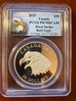 2013 $20 Bald Eagle  First Strike PR70DCAM
