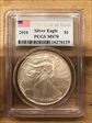 2010 $1 Silver Eagle MS70
