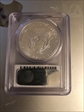 2014 $1 Silver Eagle First Strike MS70