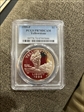1999-P $1 Yellowstone PR70DCAM