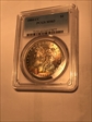 1884-CC $1 MS63