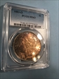 1883-O $1 MS63