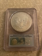 2008 $1 Silver Eagle First Strike MS70