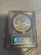 2007-W $1 Burnished Silver Eagle First Strike SP70