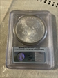 2009 $1 Silver Eagle First Strike MS70