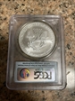 2007 $1 Silver Eagle First Strike MS70