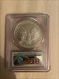 2006 $1 Silver Eagle First Strike MS70