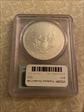 2013 $1 Silver Eagle First Strike MS70