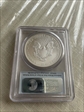 2003 $1 Silver Eagle First Strike MS70