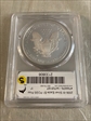 2006-W $1 Silver Eagle PR70DCAM