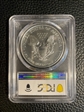 1994 $1 Silver Eagle MS69
