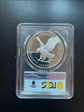 2021-S $1 Silver Eagle - Type 2 First Day of Issue PR70DCAM