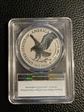 2021-S $1 Silver Eagle Rev PR - Type 2 Designer Edition - First Strike PR70