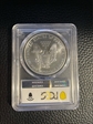 1999 $1 Silver Eagle MS70