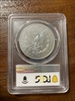 2024 $1 Morgan Dollar First Strike MS70