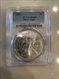 2013 $1 Silver Eagle MS68