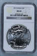 2013 S $1 2013 EAGLE S$1 NGC MS 69