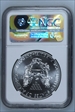 2013 S $1 2013 EAGLE S$1 NGC MS 69