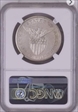 1911 S 1 PESO 1911 S USA-PHIL PESO NGC XF 45