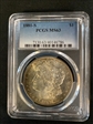 1881-S $1 MS63
