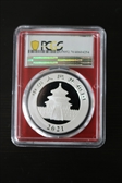 2021 (G) 10 Yn Panda Silver Struck at Shenzhen Mint First Strike MS70
