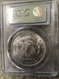 1896 $1 MS63