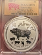 2019-P $1 Year of the Pig Ag MS70