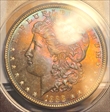 1888 $1 MS63