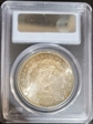 1899-S $1 MS64