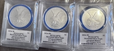 2024-W $1 Burnished Silver Eagle Mint Designer Series Advanced R. Emily S. Damstra SP70