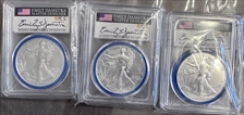 2024-W $1 Burnished Silver Eagle Mint Designer Series Advanced R. Emily S. Damstra SP70