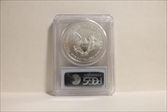 2008-W $1 Burnished Silver Eagle SP69