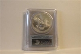 2013-(S) $1 Silver Eagle Struck at San Francisco First Strike MS69