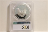 1995-P $1 Silver Eagle PR69DCAM