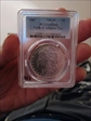1887 $1 VAM 12, Alligator Eye MS62
