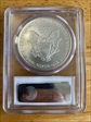 2006 $1 Silver Eagle MS69