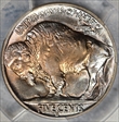 1938-D 5C Buffalo MS67+