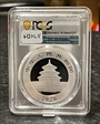 2020(Y) 10 Yn Panda Silver Struck at Shenyang Mint MS70