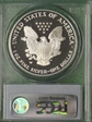 2006-W $1 Eagle-20th Anniversary PR69DCAM